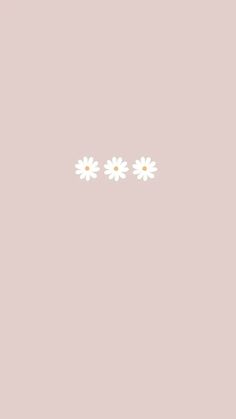 three daisies on a light pink background