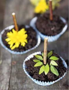 three small cupcakes with plants growing out of them