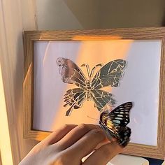 a person is holding a butterfly in front of a framed photo with the light shining on it