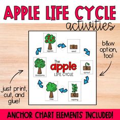 an apple life cycle worksheet for kids to learn how to use the tree