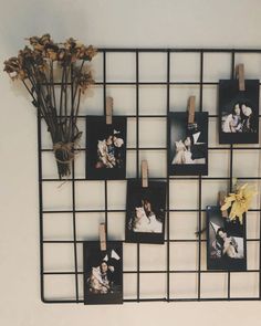 several pictures hanging on a wall with clothes pins attached to them and dried flowers in the middle