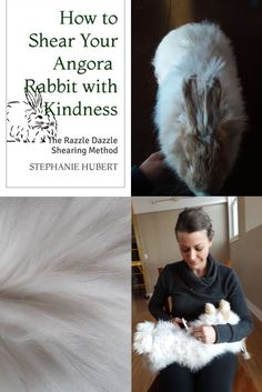 the cover of how to shear your angora rabbit with kindness by stephanie hulbert