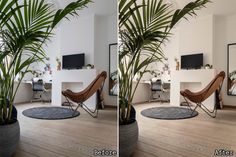 two pictures of a living room with plants in it