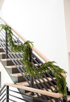 Artificial white cedar pine garland - 6’ - Greenery Marketgreenery2833267GR Cedar Garland Christmas, Garland For Stairs, Garland For Christmas, Cedar Garland, Winter Garland, Norfolk Pine, Winter Decorating, Pine Garland, Winter Signs