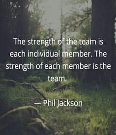 the strength of the team is each individual member the strength of each member is the team - phil jackson