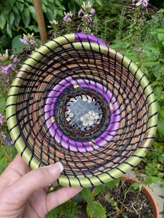 a hand holding up a basket in front of some purple and green plants with flowers