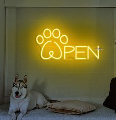 a dog laying on a bed in front of a neon sign that reads open with a dog's paw