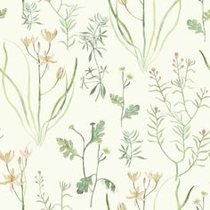 a white wallpaper with green and yellow flowers on the bottom right corner is an illustration of plants