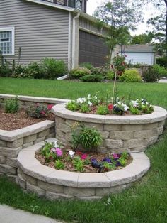 an outdoor garden with flowers and plants growing in the rocks on the side of it