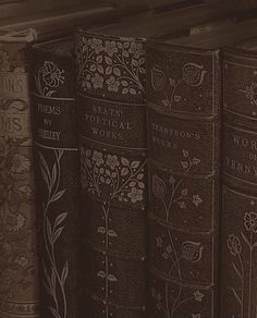 old books are lined up on a shelf