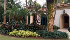 a house with palm trees and landscaping around it