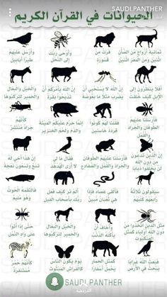 an arabic poster showing different animals and their names