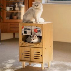 two cats are sitting on top of an old tv that is turned into a stand