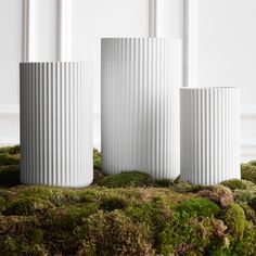 three white vases sitting on top of moss covered ground