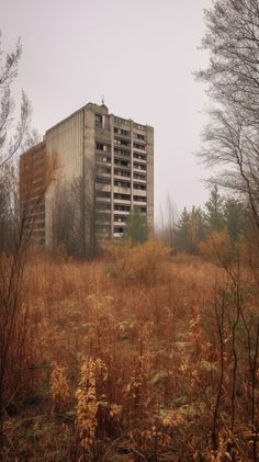 an abandoned building in the middle of a field with tall grass and trees around it