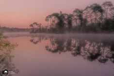 a foggy lake with trees in the background