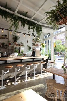 the inside of a restaurant with plants hanging from the ceiling and wooden tables in front of it