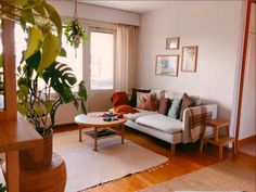 a living room filled with furniture and a potted plant next to a window on top of a hard wood floor