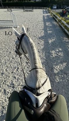 a white horse with a saddle on it's back