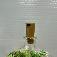 an empty glass bottle with green plants in it