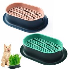 two cat litter trays with grass in them and a cat sitting next to it