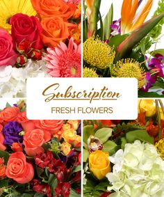 four different images of flowers with the words gubscription fresh flowers