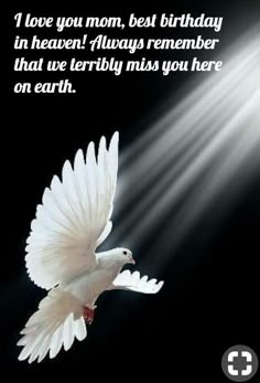 a white dove flying in the air with light coming from behind it and a bible verse written