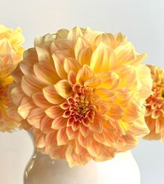 three large yellow flowers in a white vase