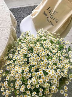 a bunch of daisies sitting on the ground next to a white chair and bag