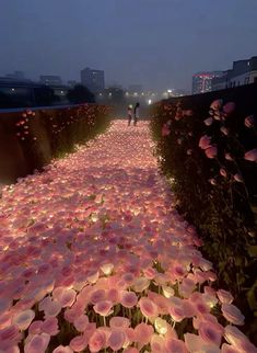 people are walking down a path made out of pink flowers and petals on the ground