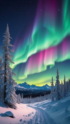 the aurora bore is shining brightly in the sky above snow covered trees and evergreens