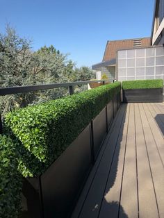 a wooden deck with plants on it