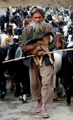 an old man holding a goat in front of a herd of goats