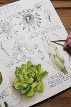 a person is drawing flowers and plants on paper