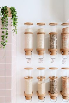 a wall mounted spice dispenser filled with lots of different kinds of spices