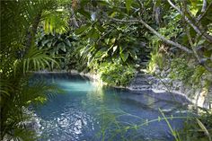 the blue pool is surrounded by lush vegetation and trees, with water running through it