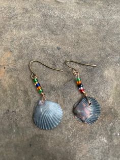 Handmade Scallop shell earrings. Glass beads. Bronze hook. Seashell Earrings, Scallop Shell, Scallop Shells, Shell Earrings, Sea Shells, Jewelry Earrings Dangle, Etsy Earrings, Glass Beads, Dangle Drop Earrings