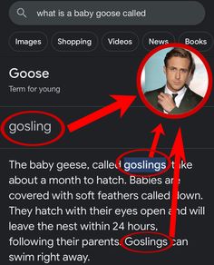 an email message with the text gosling's name in red, and then it appears