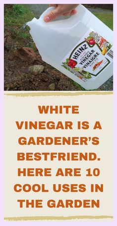 a person is pouring water into a container with the words white vinegar is a gardener's best friend, here are 10 cool uses in the garden