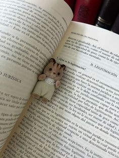 a book with an animal brooch on it sitting in front of a pile of books