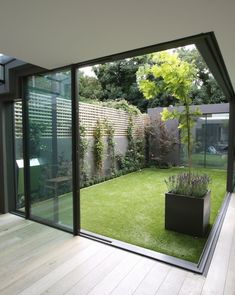 an open patio with grass and plants in the center, surrounded by wooden flooring