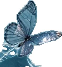 a blue butterfly flying in the air