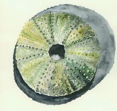 a watercolor drawing of a green and yellow object with black dots on the top