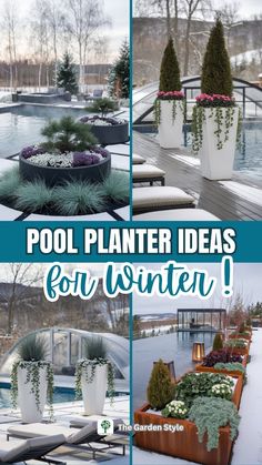 pool planter ideas for winter