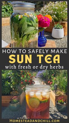 sun tea with fresh or dry herbs in a mason jar on a table outside, and the text how to safely make sun tea with fresh or dry herbs