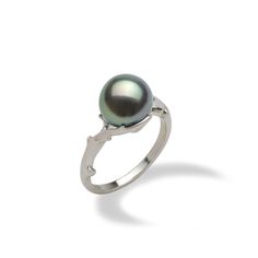 14k white gold ring Coral Branch "Hawaiian Heritage" design Tahitian Black Pearl, 9-10mm Variety of natural colors (white, soft white, and cream) Contact us for additional ring sizes Ring sizes 3-11 Due to their nature, no two pearls are alike. Pearls will vary in color, shape and overtone. Dimples, birthmarks, surface imperfections may be present and speak to their nature making each pearl unique. Maui Divers Jewelry offers extended sizing which may be subject to an additional cost. Any subsequ Black Pearl Ring, Tahitian Black Pearls, Gem Diamonds, Branch Design, Coral Ring, Purple Pearl, Pave Ring, Turquoise Rings, Silver Shop