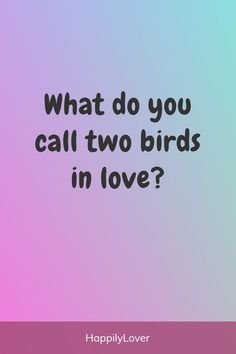 the words, what do you call two birds in love? on a pink and blue background