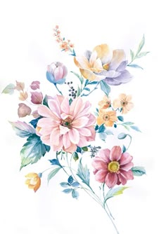 Flower Border Png, Type Of Flowers, Nail Cute, Bold Flowers, Border Png, Mexican Tile, Flower Art Images, Flower Border