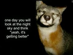 an animal with its eyes closed and the words, one day you will look at the night sky and think yeah, it's getting better