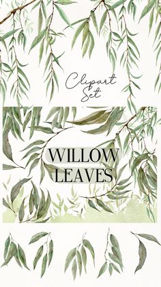 the willow leaves are painted in watercolor and then have been added to create an artistic background